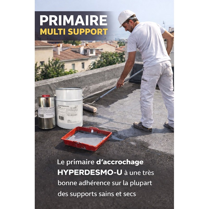 PRIMAIRE HYPERDESMO-U